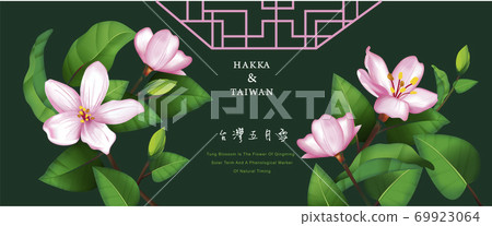 美麗的油桐花 台灣五月雪 傳統花紋 插圖素材 圖庫