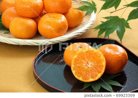 House tangerine 69923309