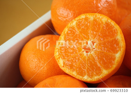 房子橘子截面 房子橘子截面 69923310