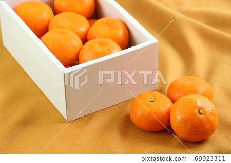 高級橘子的形象 高級橘子的形象 69923311