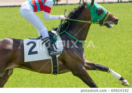 Racecourse Racecourse 69924192