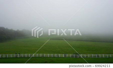 Meadows surrounded by fog Meadows surrounded by fog 69924211