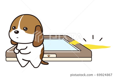 Beagle dog, a puppy that has peeed out of the toilet bowl Beagle dog, a puppy that has peeed out of the toilet bowl 69924867