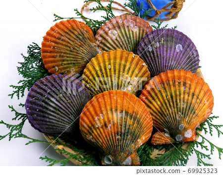 巨蟹 巨蟹 69925323