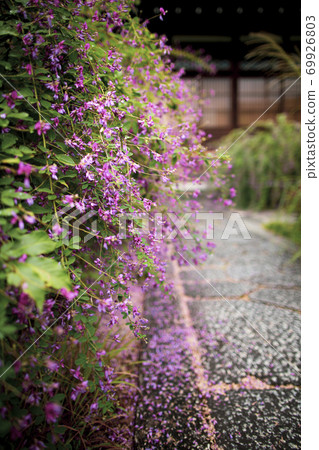 Hagi of Changbuksa Hagi of Changbuksa 69926803