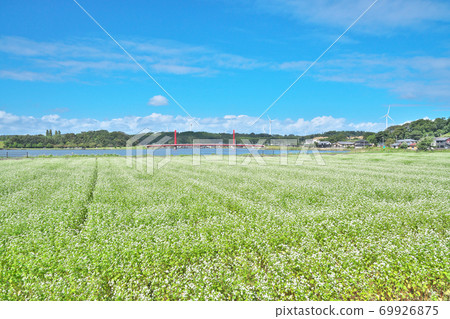 湖濱蕎麥場 69926875