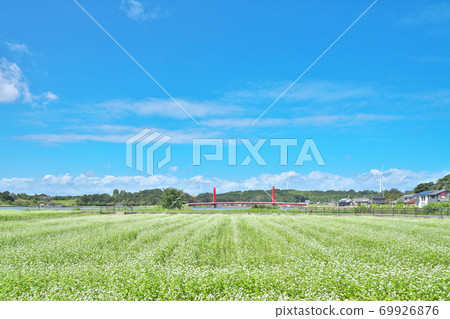 湖濱蕎麥場 69926876