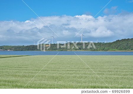 湖濱蕎麥場 69926899