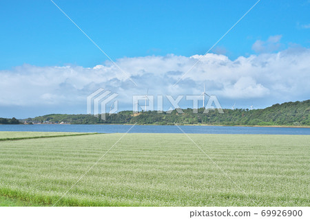 湖濱蕎麥場 69926900