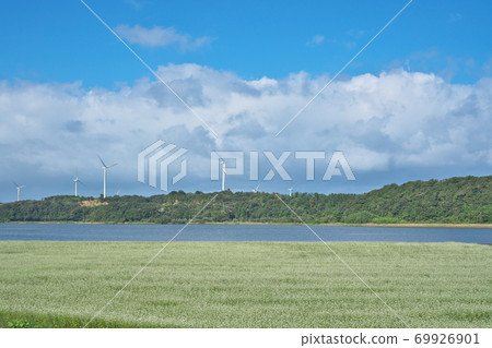 湖濱蕎麥場 69926901