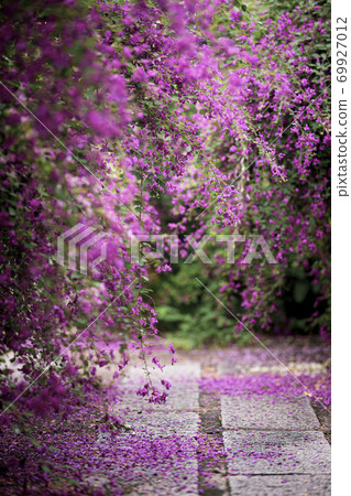 Hagi of Katsunenji Temple Hagi of Katsunenji Temple 69927012