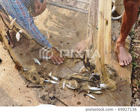 fisherman, fish, fishing 69927136