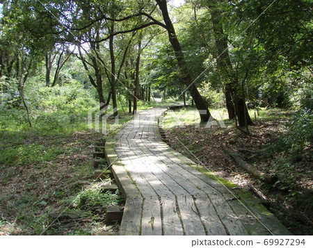 Inokohi Green Space 69927294