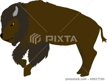 可愛的手寫美洲野牛圖 可愛的手寫美洲野牛圖 69927590