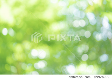 Abstract blur green color for background, blurred and focused effect spring concept for design 69928009