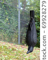 Model of a crow hung to avoid crows 69928279