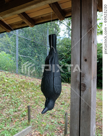 Model of a crow hung to avoid crows Model of a crow hung to avoid crows 69928280