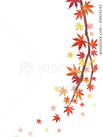 秋季背景材料秋葉楓樹枝在右側裝飾白色背景 垂直a3 比例 插圖素材 圖庫