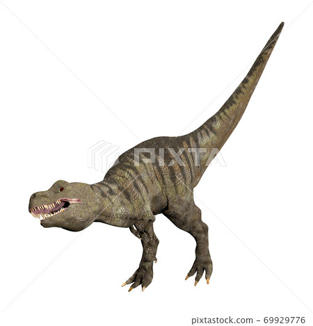 T-REX ☆ Tyrannosaurus T-REX ☆ Tyrannosaurus 69929776