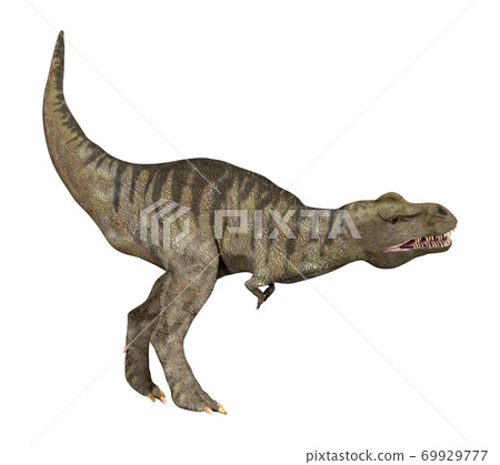 T-REX ☆ Tyrannosaurus 69929777