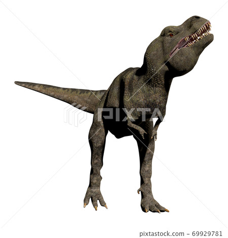 T-REX ☆ Tyrannosaurus T-REX ☆ Tyrannosaurus 69929781