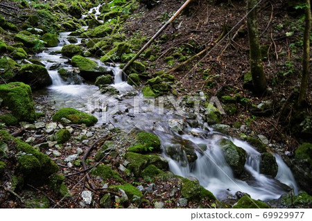 Takanosu Valley no Sawa Takanosu Valley no Sawa 69929977