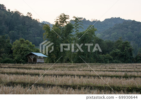 village with  rice terraces field in Mae Klang 69930644