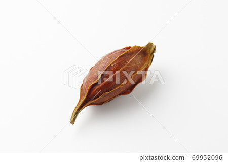 梔子果實 69932096