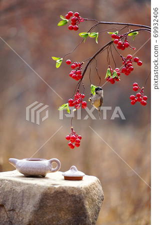 Copper tit and red berries Copper tit and red berries 69932406