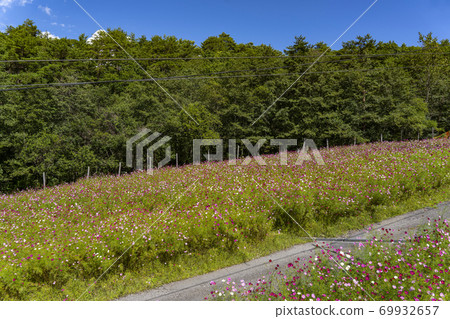 宇宙盛開在滑雪勝地 宇宙盛開在滑雪勝地 69932657