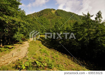 從七津山到小鳥山的山路 從七津山到小鳥山的山路 69933028