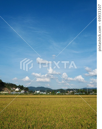 Korean rice fields, sky, and mountains Korean rice fields, sky, and mountains 69933107