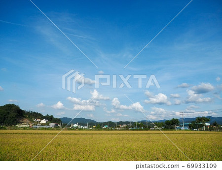 韓國稻田,天空和山脈 韓國稻田,天空和山脈 69933109