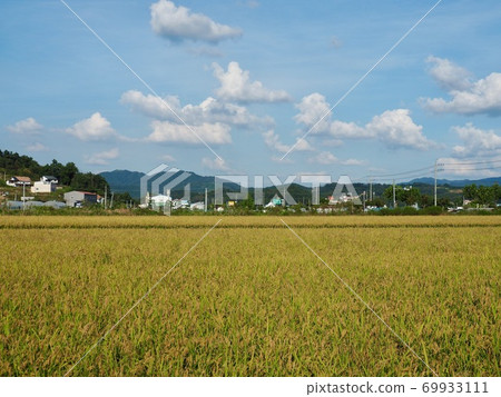 Korean rice fields, sky, and mountains Korean rice fields, sky, and mountains 69933111