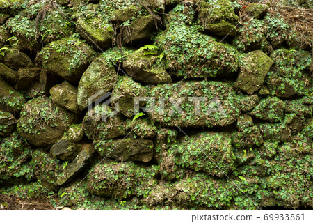 Ishigaki with green moss 69933861