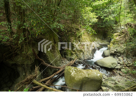A mountain stream flowing through the valley of the green forest A mountain stream flowing through the valley of the green forest 69933862