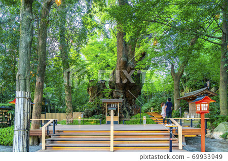 [靜岡縣] Okusu，熱海市久留宮神社的天然紀念館 69933949