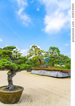 [Shizuoka Prefecture] Japanese garden in Atami Akao Herb & Rose Garden 69934000