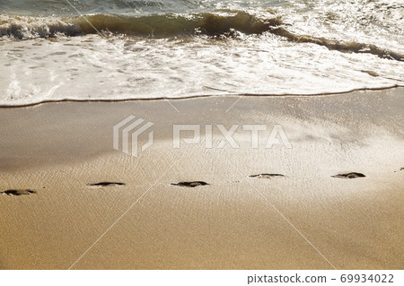 path of footprints in the sand on the shore of a beach path of footprints in the sand on the shore of a beach 69934022