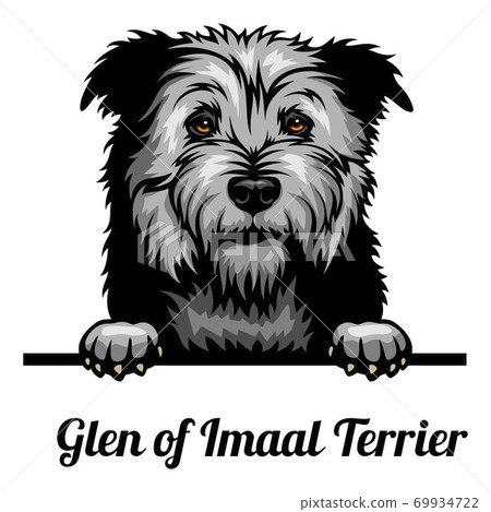 is the glen of imaal terrier a good breed of dog