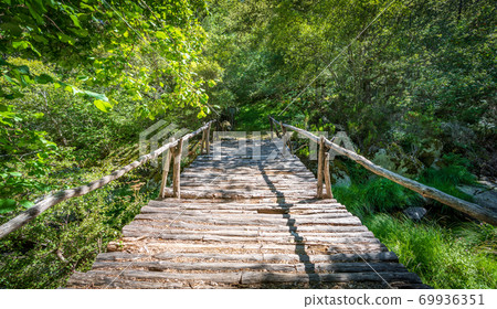 Wooden bridge over the forest Wooden bridge over the forest 69936351