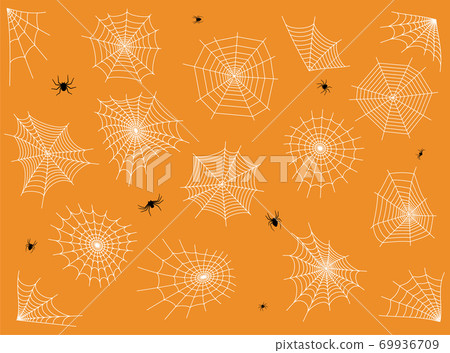 Spider web concept 69936709