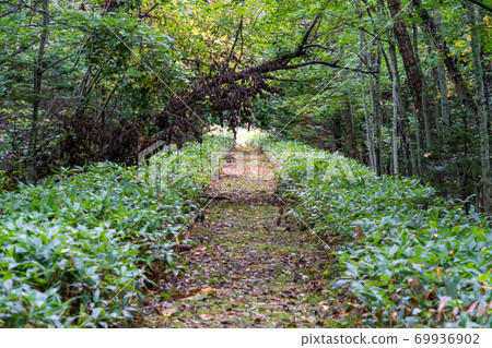北海道Kamishihoro鎮的前JNR Shihoro Line雨痕 北海道Kamishihoro鎮的前JNR Shihoro Line雨痕 69936902