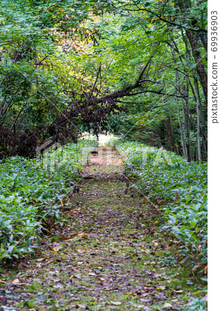 北海道Kamishihoro鎮的前JNR Shihoro Line雨痕 北海道Kamishihoro鎮的前JNR Shihoro Line雨痕 69936903