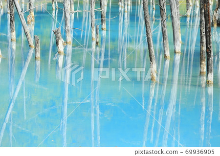 北海道美瑛町的藍塘 北海道美瑛町的藍塘 69936905