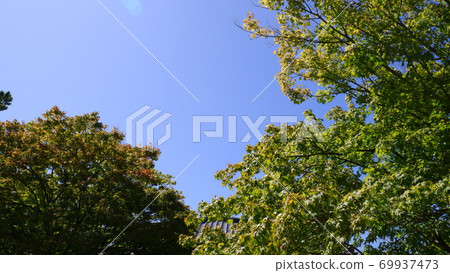 Looking up the blue sky 69937473