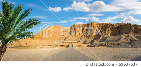 Palm and temple 69937637