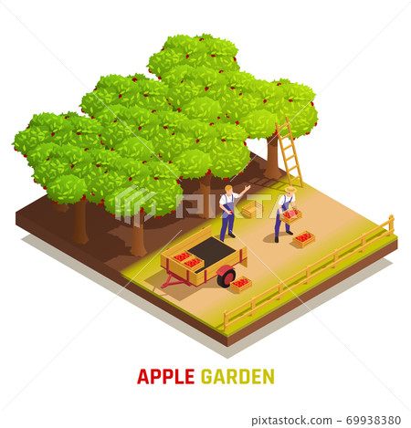 Harvesting Apples Isometric Composition  69938380