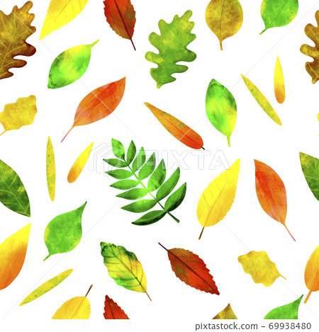 Seamless pattern colorful autumn leaves on white 69938480