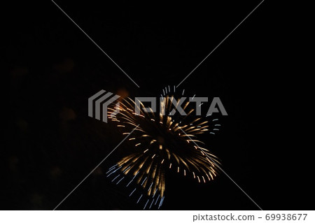開花在夏夜天空的花 開花在夏夜天空的花 69938677